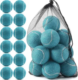 12 Pack Bulk Tennis Balls for Beginner – High Elasticity Practice Tennis Balls, with Mesh Bag for Pet Dog Training, Catching
