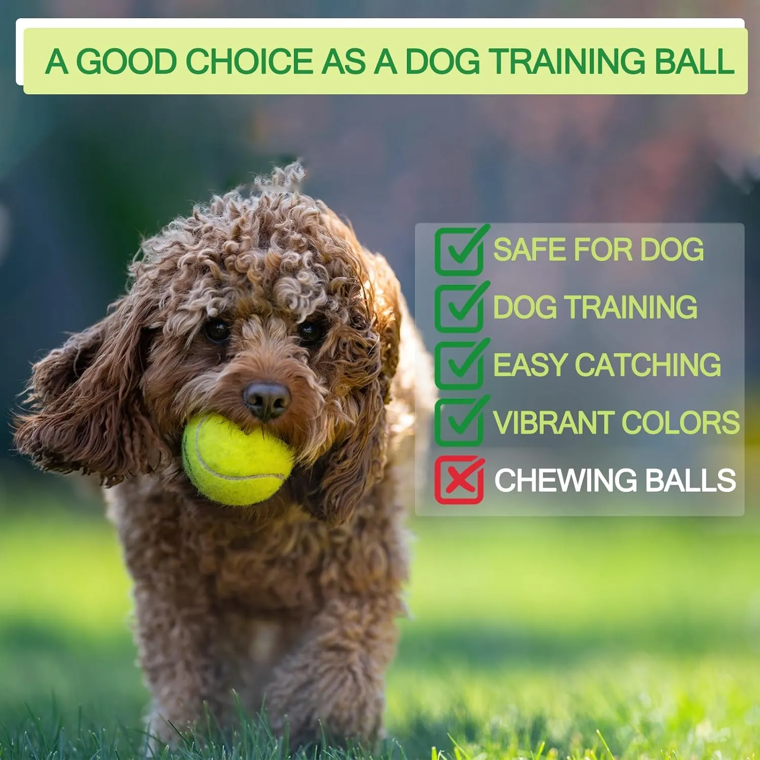 12 Pack Bulk Tennis Balls for Beginner – High Elasticity Practice Tennis Balls, with Mesh Bag for Pet Dog Training, Catching
