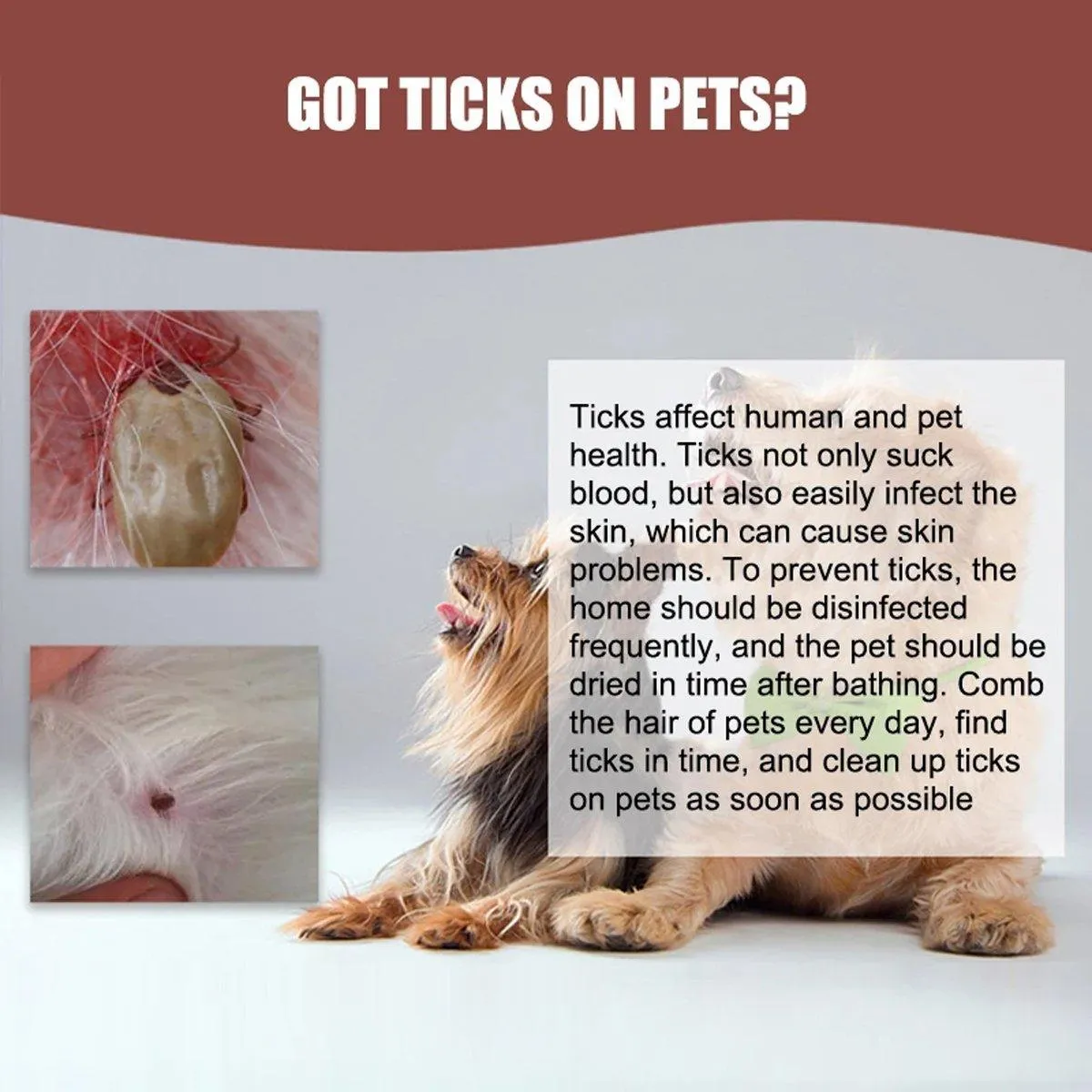 2pcs Pet Bug Catcher Tool Cat Grooming Insect Catcher for Safe Pest Control