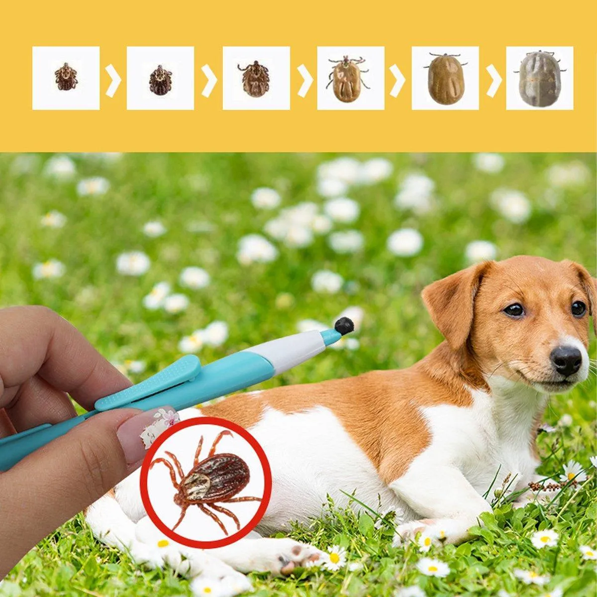 2pcs Pet Bug Catcher Tool Cat Grooming Insect Catcher for Safe Pest Control