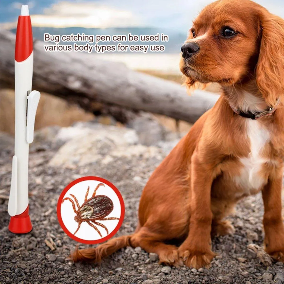 2pcs Pet Bug Catcher Tool Cat Grooming Insect Catcher for Safe Pest Control