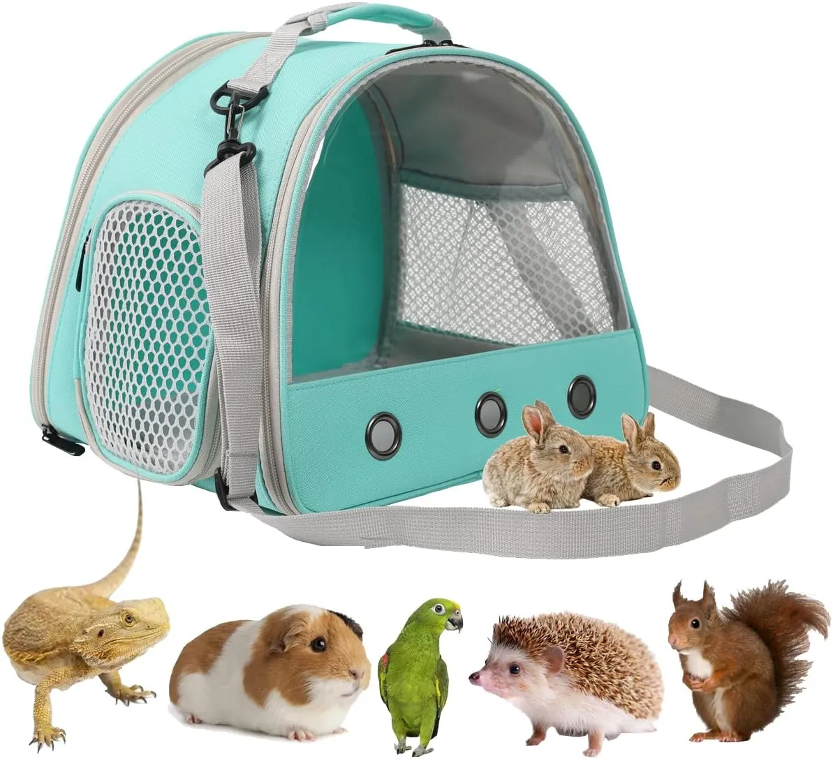 Bearded Dragon Carrier, Lizards & Small Animal Travel Carrier for Hedgehog, Rat, Parrot, Bird & Guinea Pig - Portable Carrier for 2 (Green)