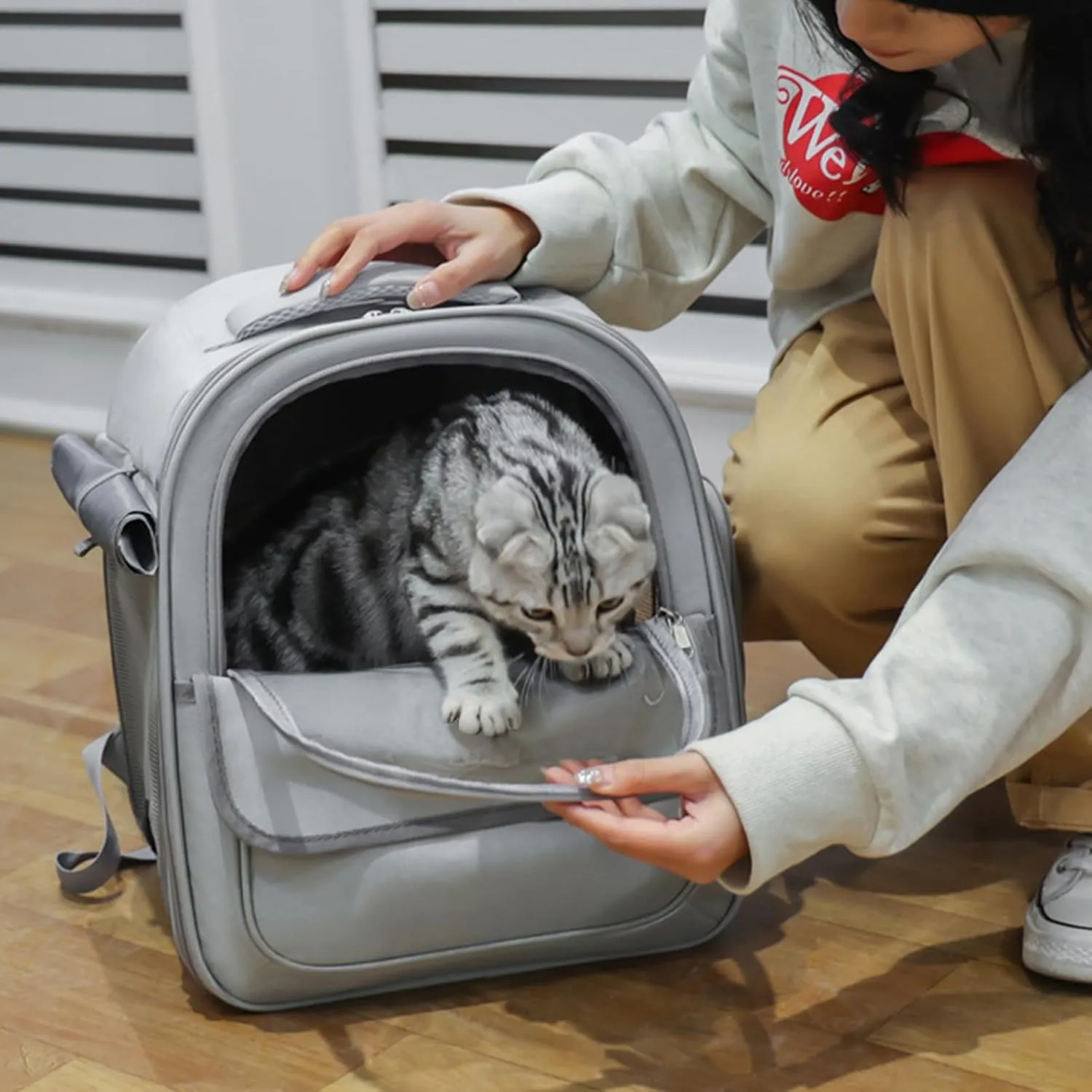Bubble Carrying Bag for Cats – Air, Pet Pack | Breathable Window Backpack with Vent Holes, Lightweight Travel Carrier for Hiking Walks, Spacious Cat Puppy Outdoor Adventure Tote
