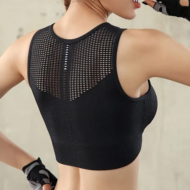 Cloud Hide Crop Sports Bra
