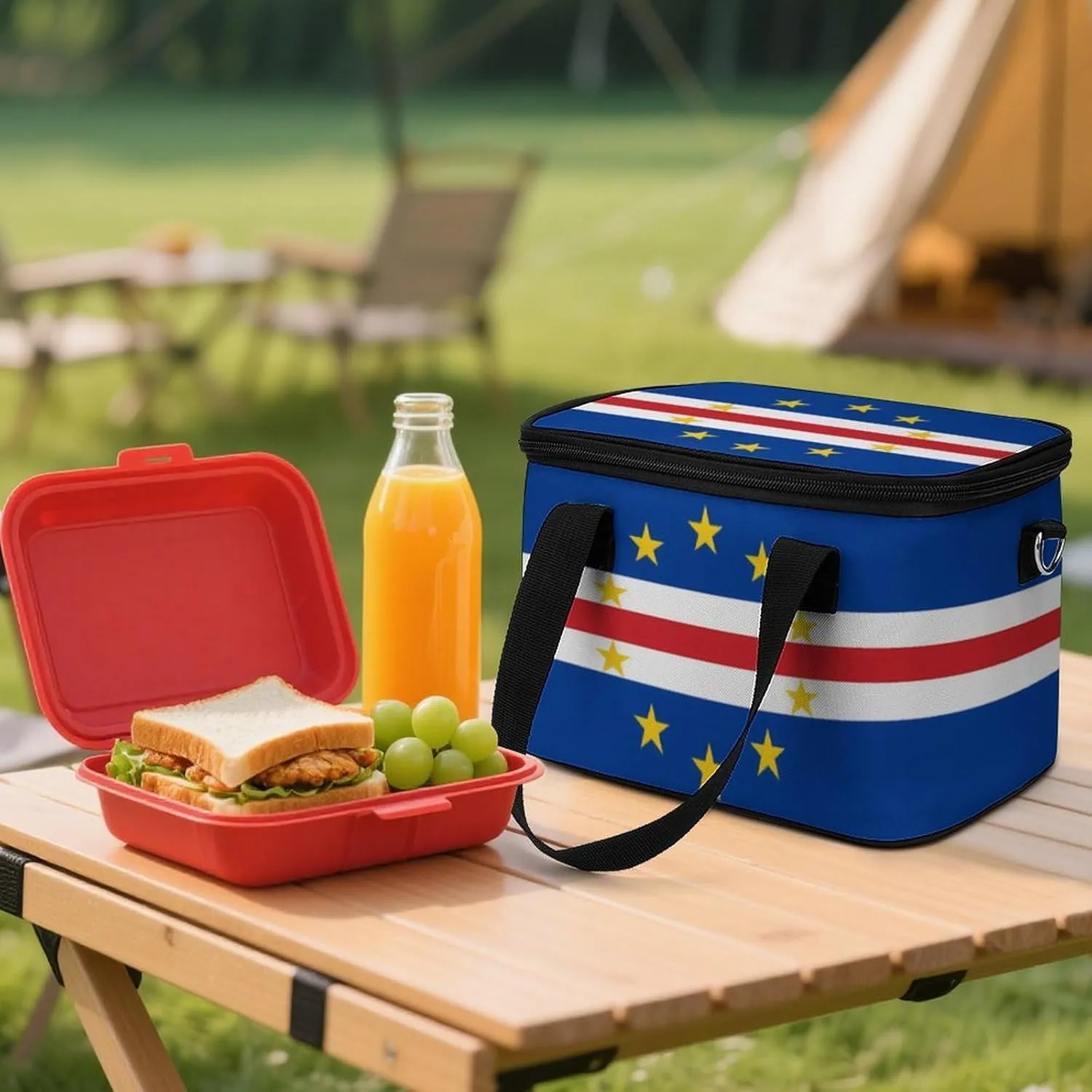 Collapsible Cooler Bag Camping Cooler Tote Lunch Cooler Insulated Waterproof Lunch Box for Picnic Beach Travel
