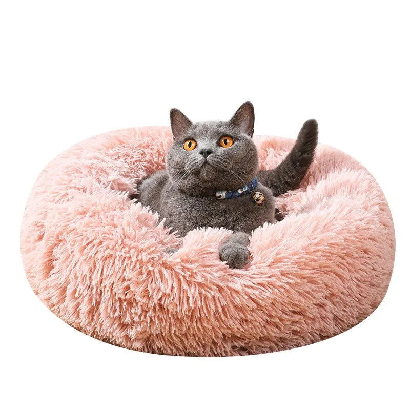 Comfort Pet Bed