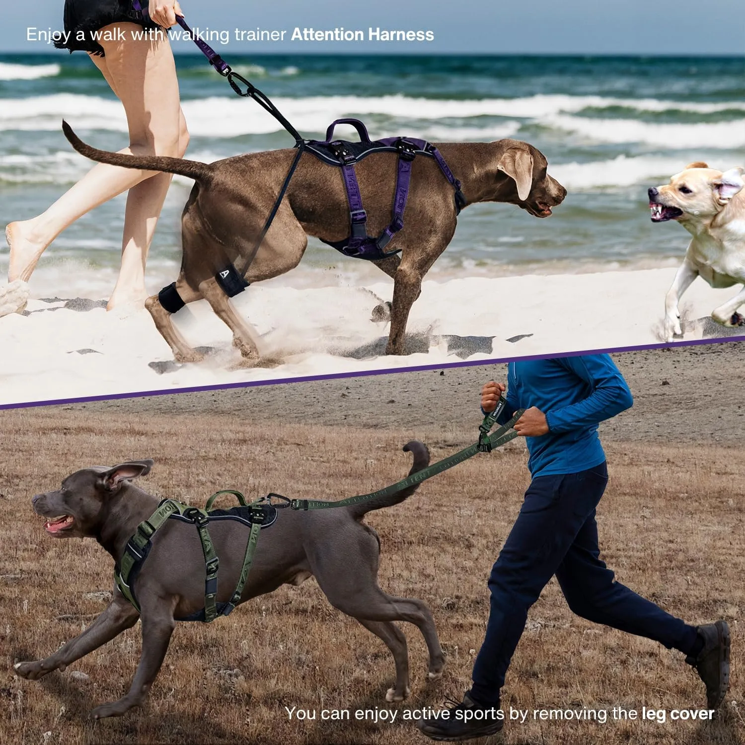 Easy Walk No Pull Dog Harness for Large Dogs, Heavy Duty Tactical Dog Harness with Handle, Easy Control and Training Better Leash Manners (Midnight Purple, Medium)