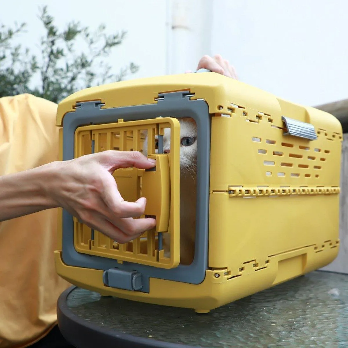 Foldable Portable Pet Carrier Detachable Cat Dog Carrier Space Capsule Design