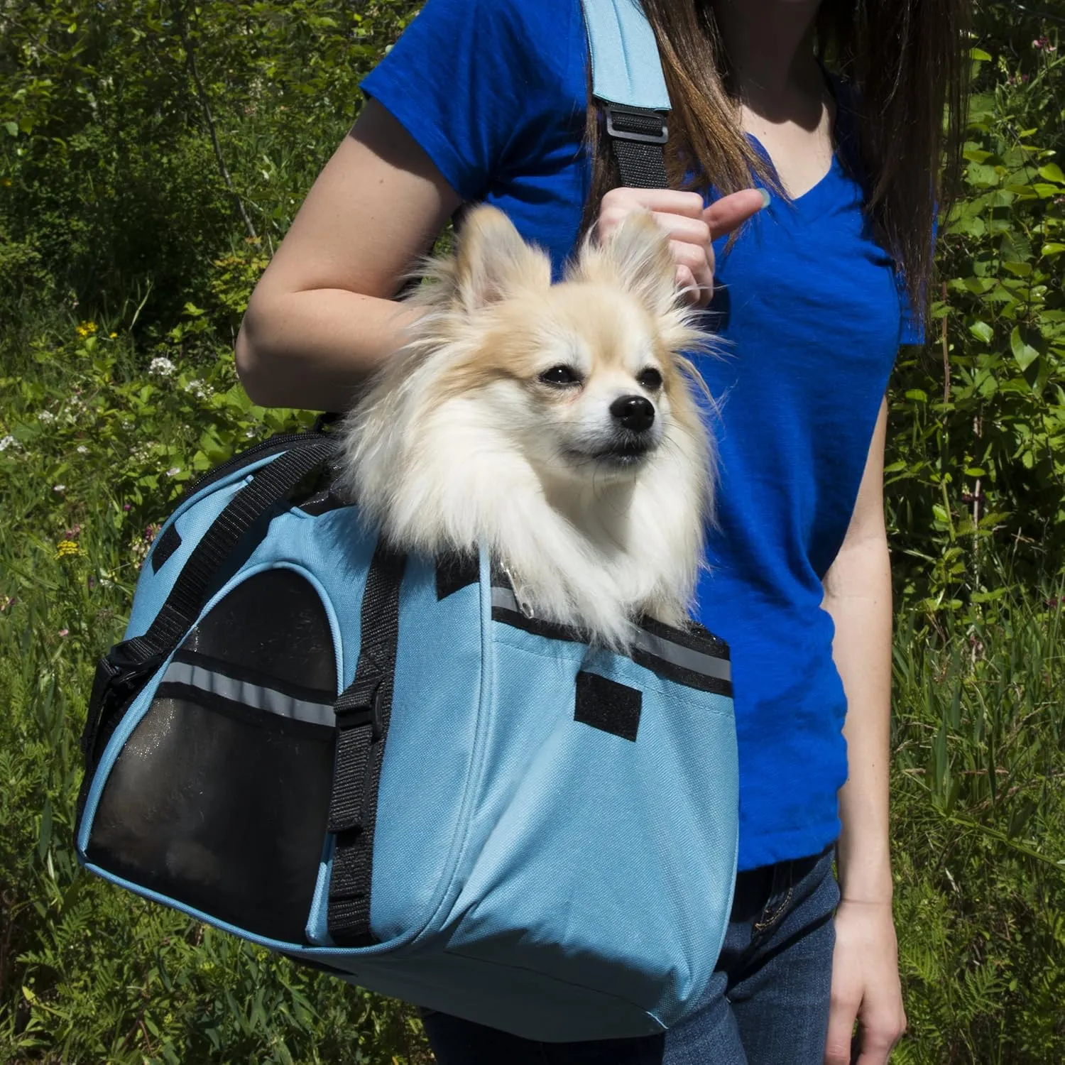 Furhaven Multipurpose Tote Bag Pet Carrier w/ Weather Guard - Robin Blue, Large