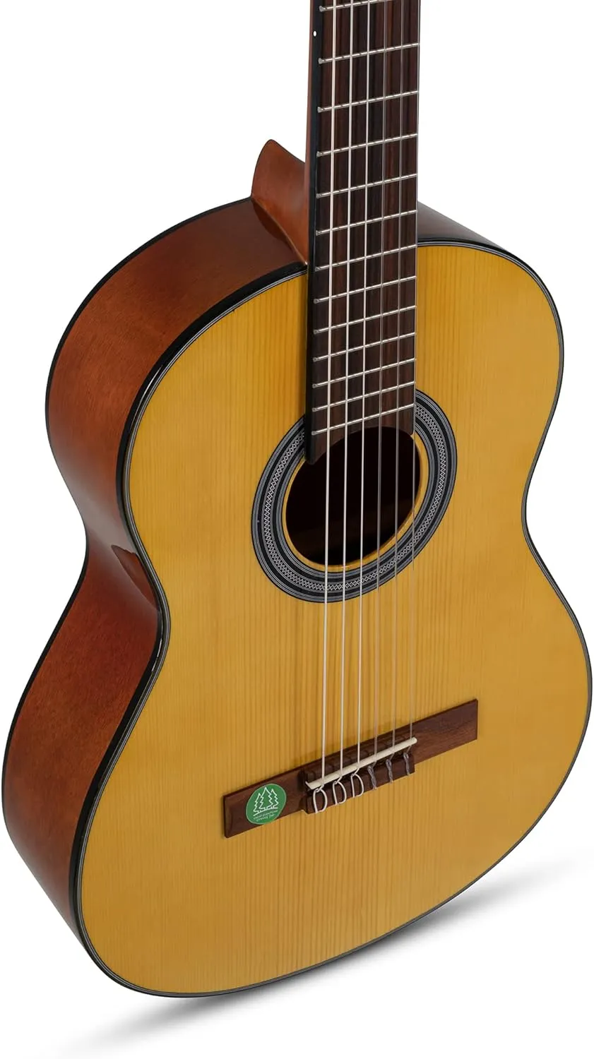 GEWA 3/4 Student, solid spruce