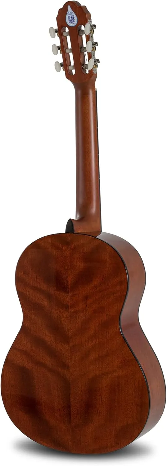 GEWA 3/4 Student, solid spruce