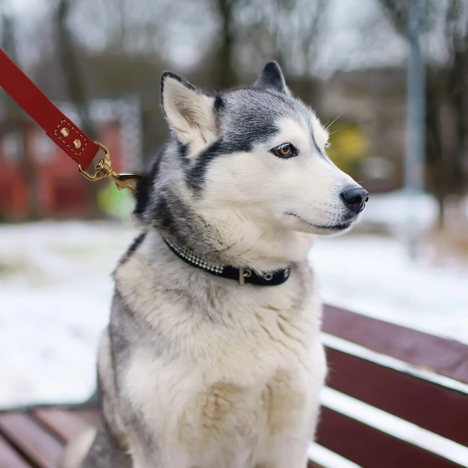 Heavy Duty Leather Dog Leash 6 ft x 1 inch,Strong Double Stitched Genuine Leather Pets Training Leash for Walking,Soft Handle and Durable Lead for Small Medium and Large Dogs Red