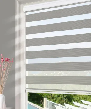 Homebox Shades for Indoor Windows, Zebra Roller Window Blinds Light Filtering Sheer Light Control 63 Inch Wide Blinds, 63" W x 72" H Light Gray