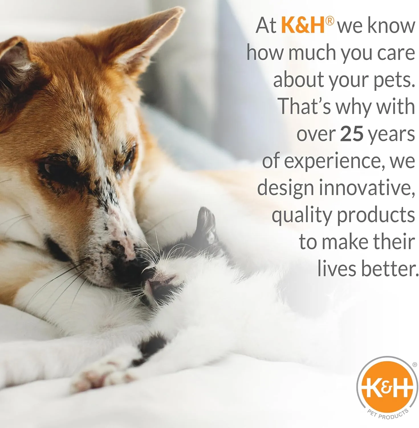 K&H Pet Products Bolster Dog Cot, Cooling Indoor Outdoor Elevated Cot Hammock Dog Bed with Removable Washable Bolsters, Washable Mesh Cover, Raised Metal Frame - Large 42 X 30in Charcoal