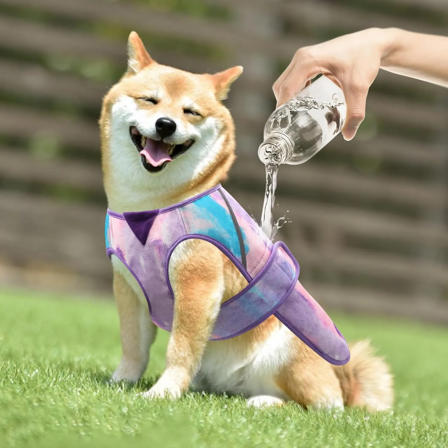 KYEESE Dog Cooling Vest Lightweight Dog Cooler Jacket 3D Breathable Mesh Pet Cooling Shirts with Reflective Stripe UV Protection Pet T Shirt for Beach, Hiking, Walking (Purple, M)