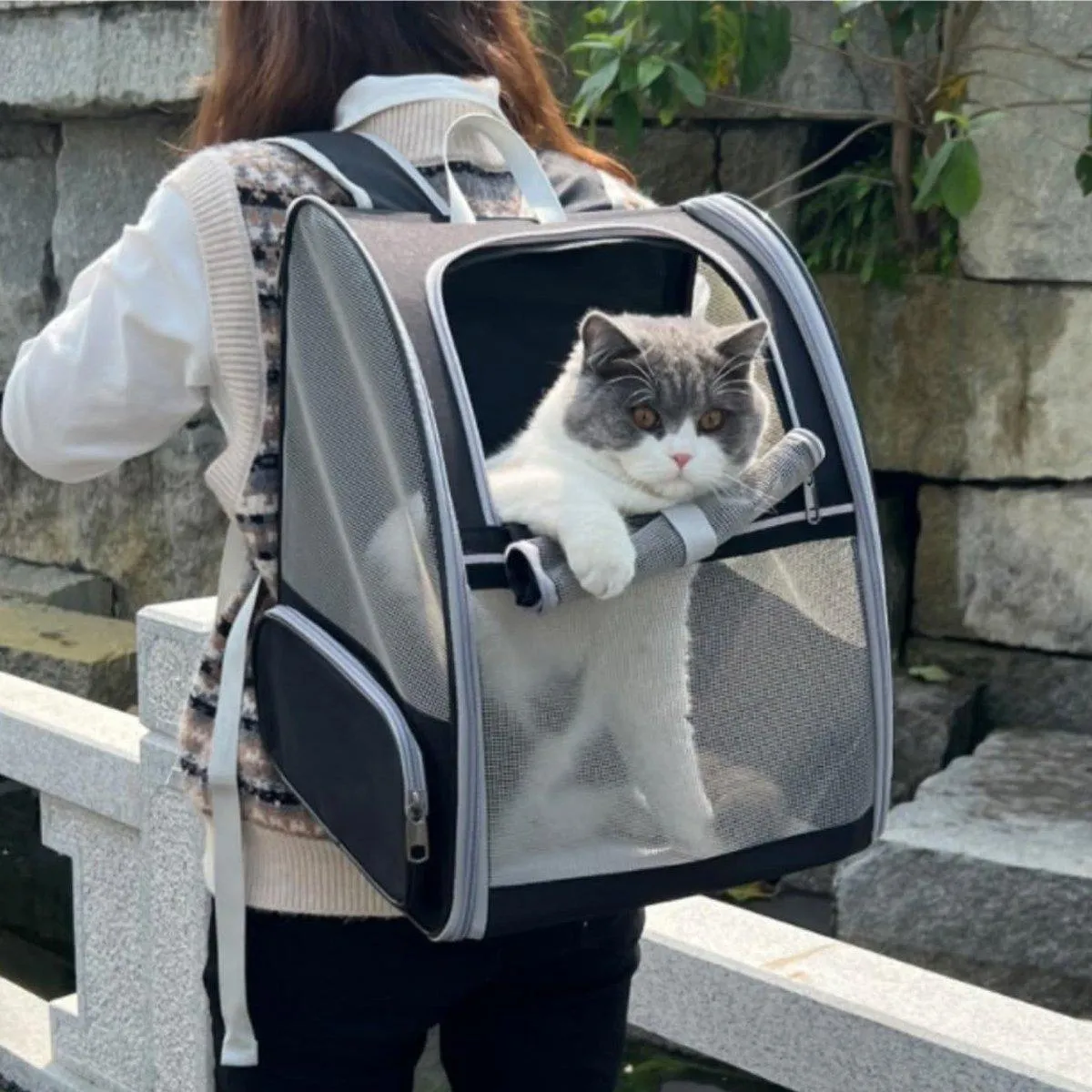 Large Foldable Breathable Portable Cat Dog Bag Outdoor Shoulder Pet Backpack