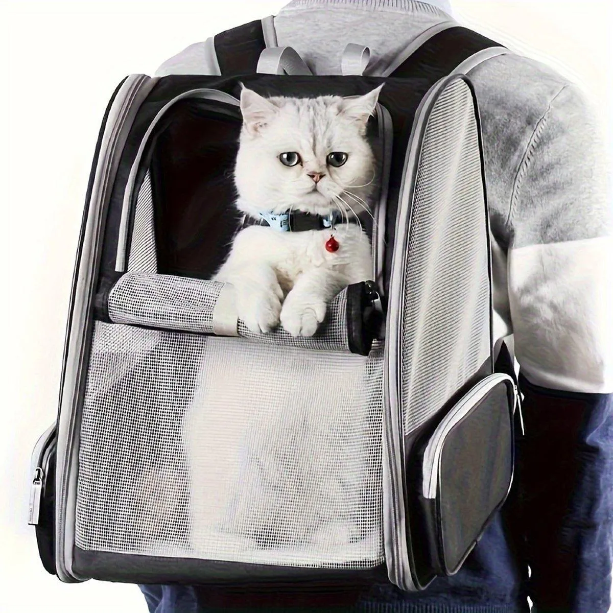 Large Foldable Breathable Portable Cat Dog Bag Outdoor Shoulder Pet Backpack
