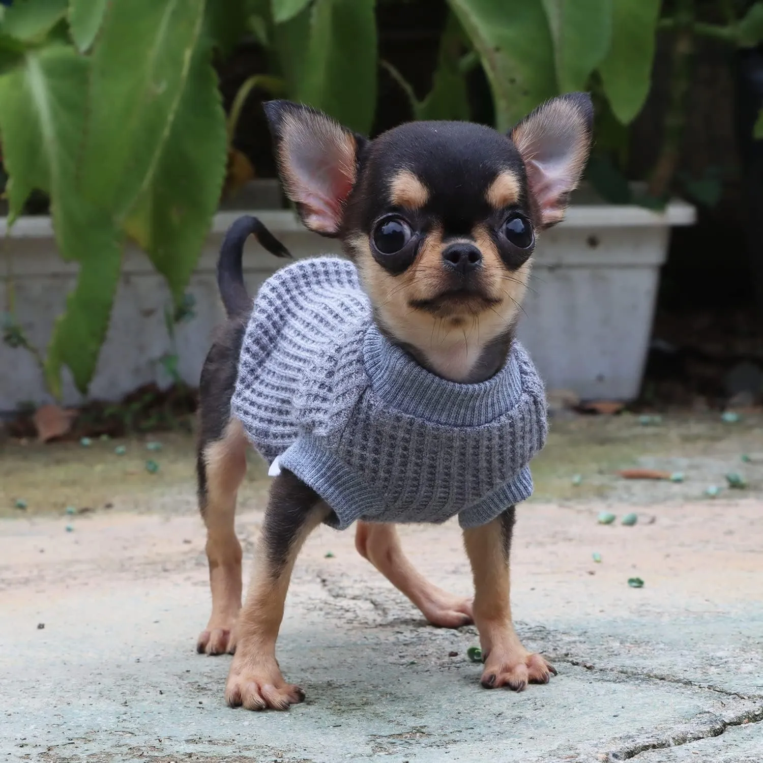LOPHIPETS Lightweight Dog Sweaters for Puppy Small Dogs Puppy Chihuahua Yorkie Clothes-Gray/XXS