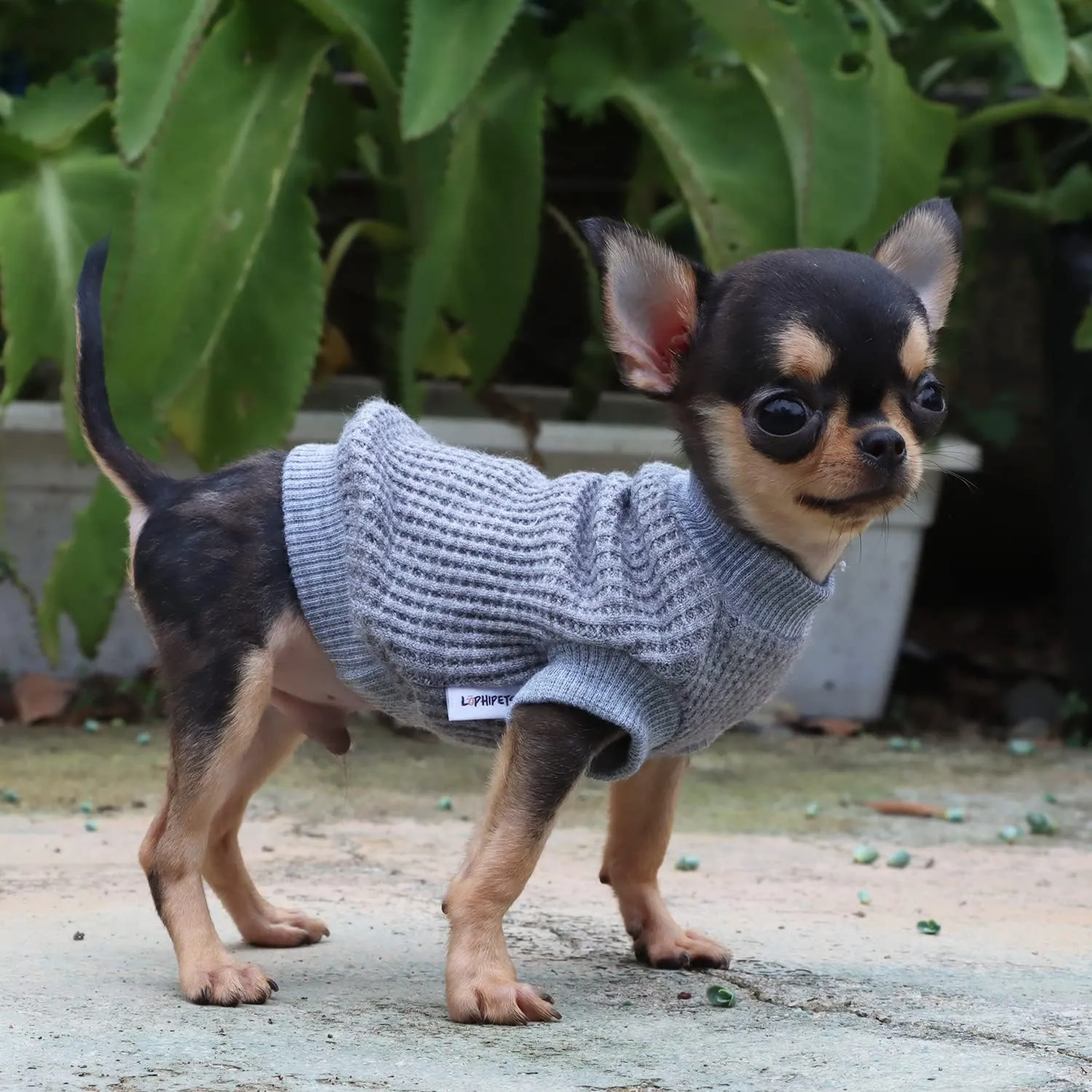 LOPHIPETS Lightweight Dog Sweaters for Puppy Small Dogs Puppy Chihuahua Yorkie Clothes-Gray/XXS