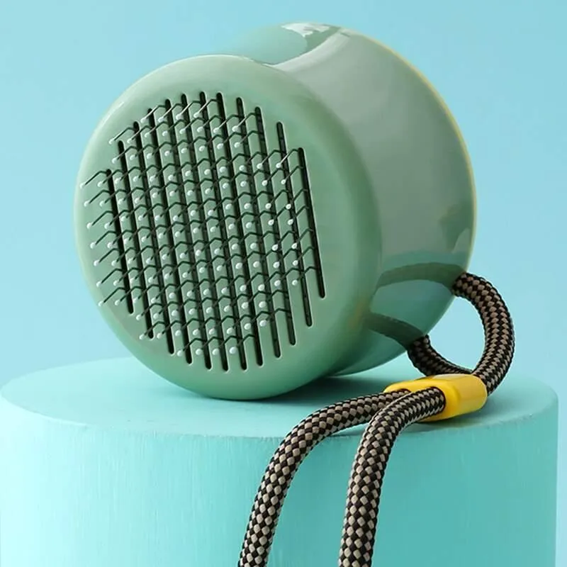 Mini Cat Hair Remover Brush - Easy One-Click Cleaning Tool