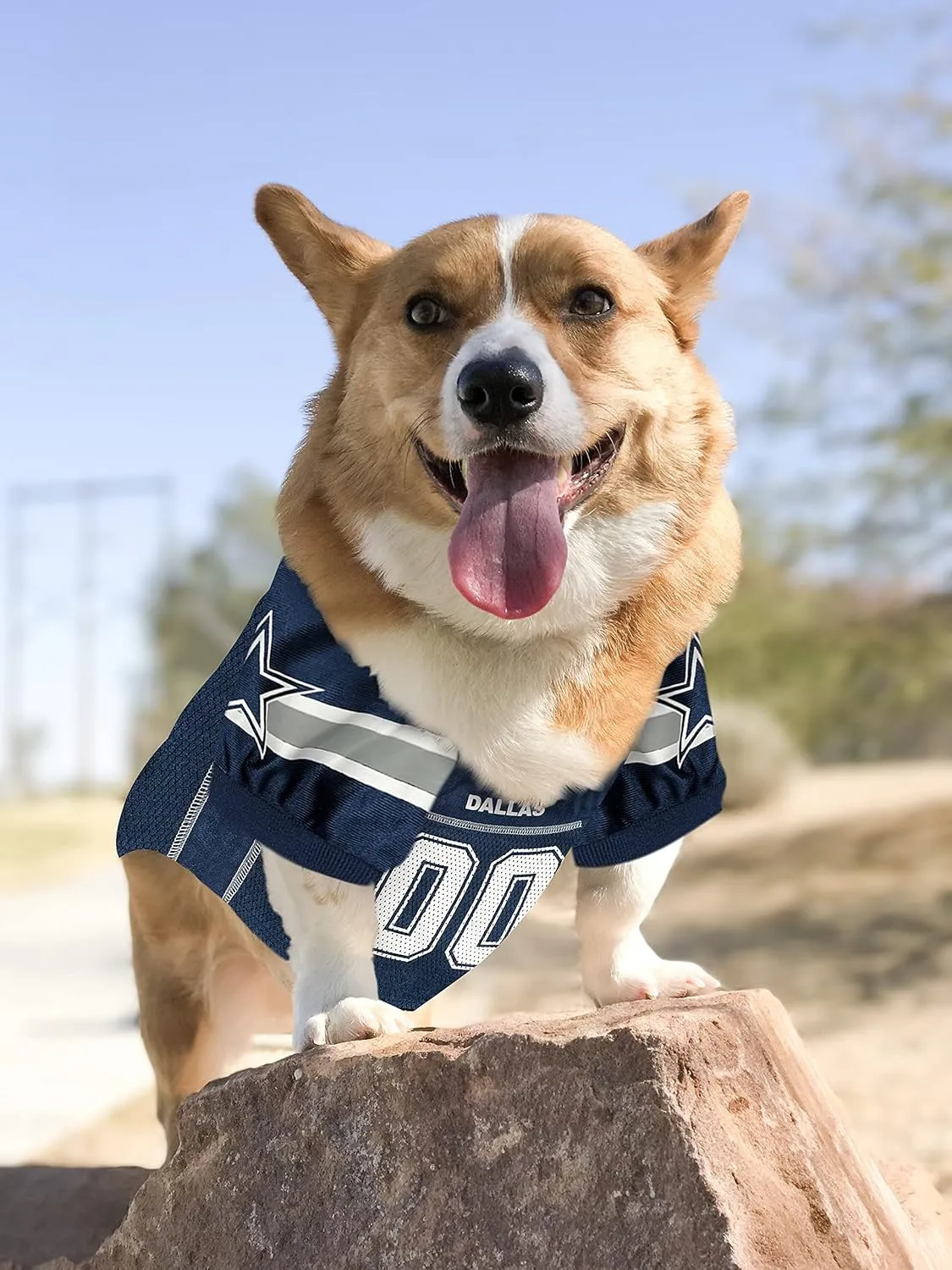 NFL Dallas Cowboys Mesh Dog Jersey