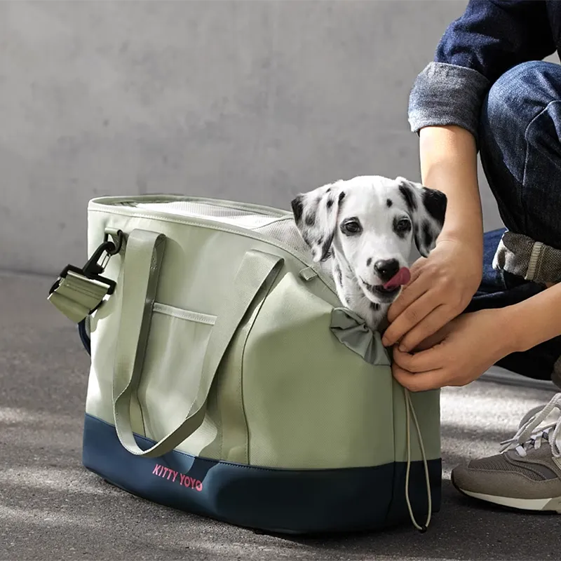 Outdoor Large Capacity Pet Carrier Bag