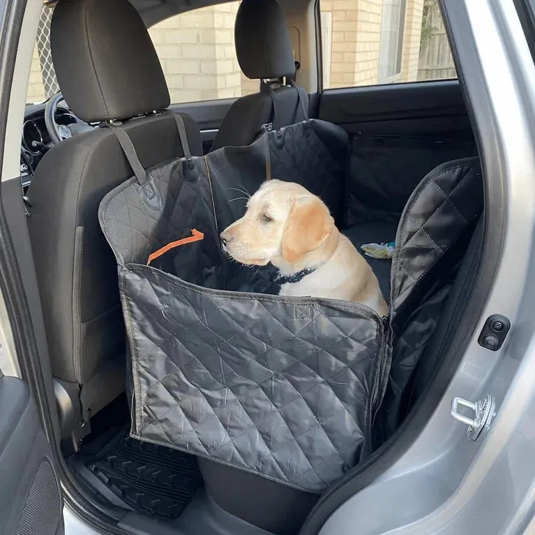 Pawz - Pet Back Seat Cover