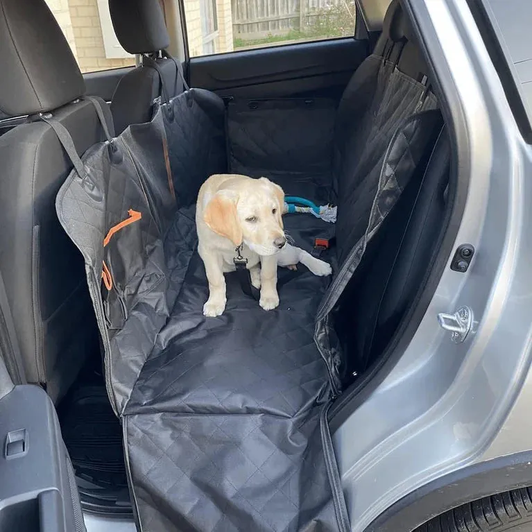 Pawz - Pet Back Seat Cover