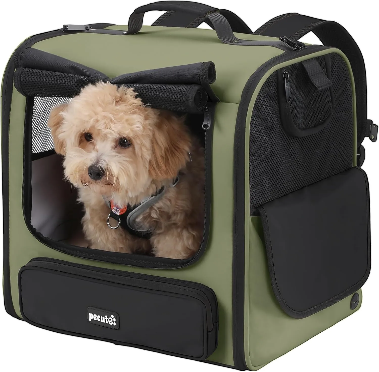 Pecute Cat Carrier Backpack Pet Carrier Backpack Widen Large Space, Stable Pet Backpack for Cat Small Dog, Ventilated Pet Backpack Miniature Dachshund Bag Suitable for Hiking, Camping Dark Green