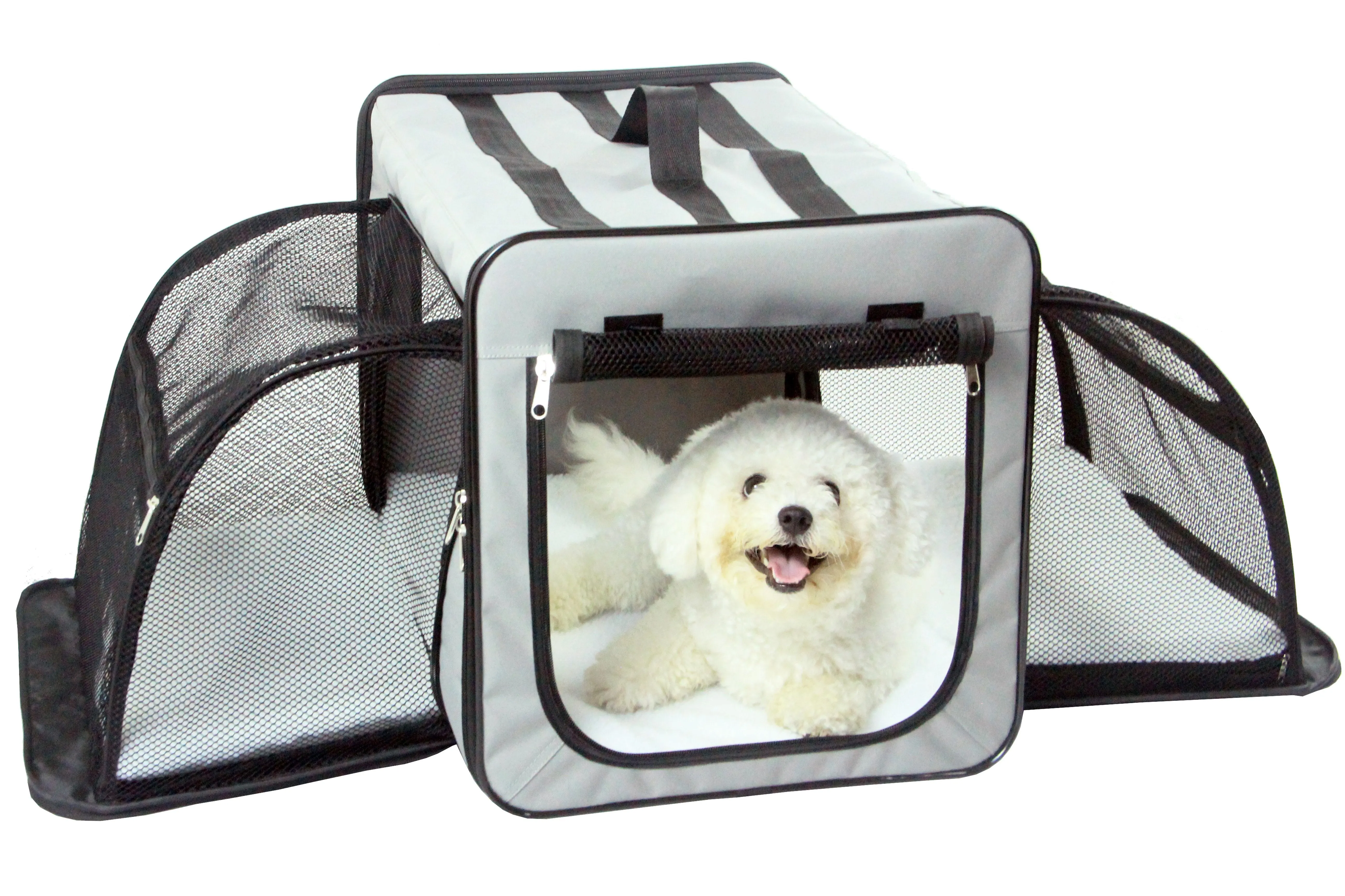 Pet Life Capacious Dual-Expandable Wire Folding Lightweight Collapsible Travel Pet Dog Crate: Size X-Small,Color Blue