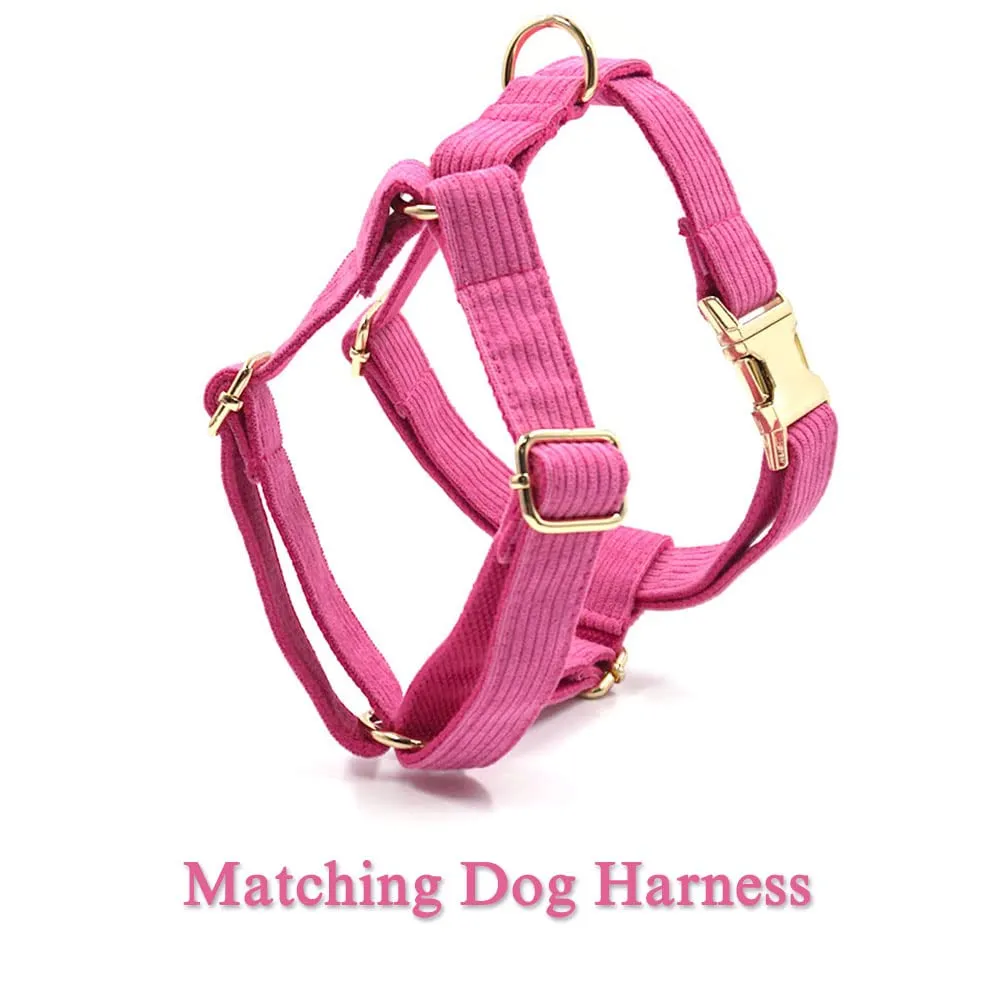 PETDURO Personalized Handmade Dog Collars Stripe Velvet Custom with Name Engraved Gold Metal Buckle for Boy & Girl Dogs - Matching Leash Bow Tie Harness Poop Bag Holder Available (S, Hot Pink)