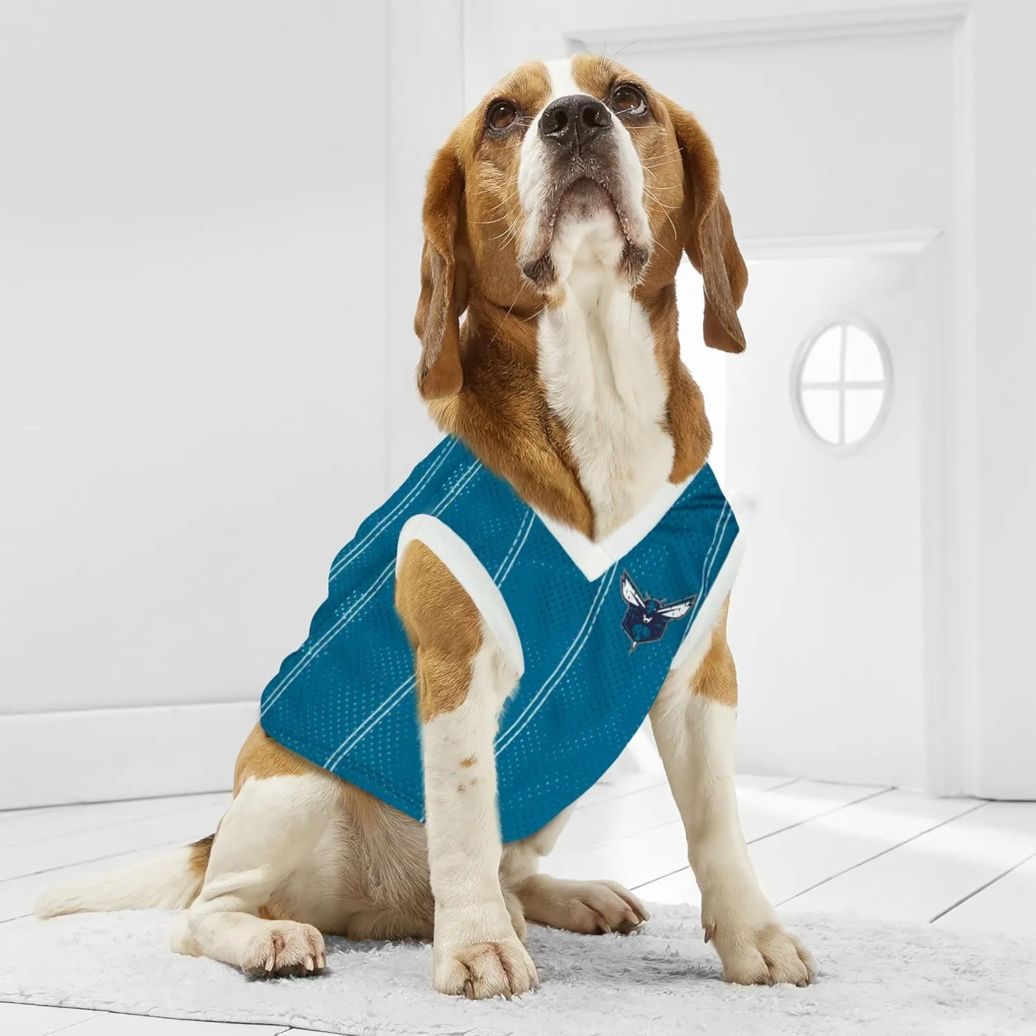 Pets First NBA Charlotte Hornets Dog Jersey, X-Large - Tank Top Basketball Pet Jersey