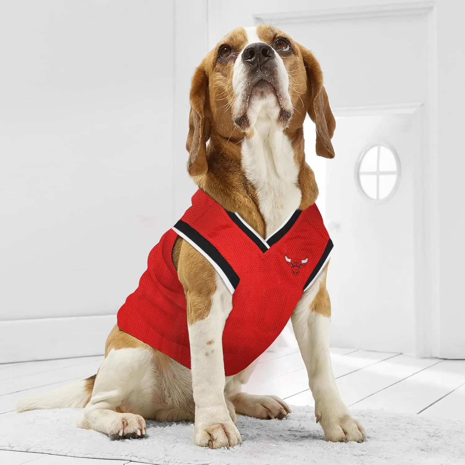 Pets First NBA CHICAGO BULLS DOG Jersey, Medium - Tank Top Basketball Pet Jersey