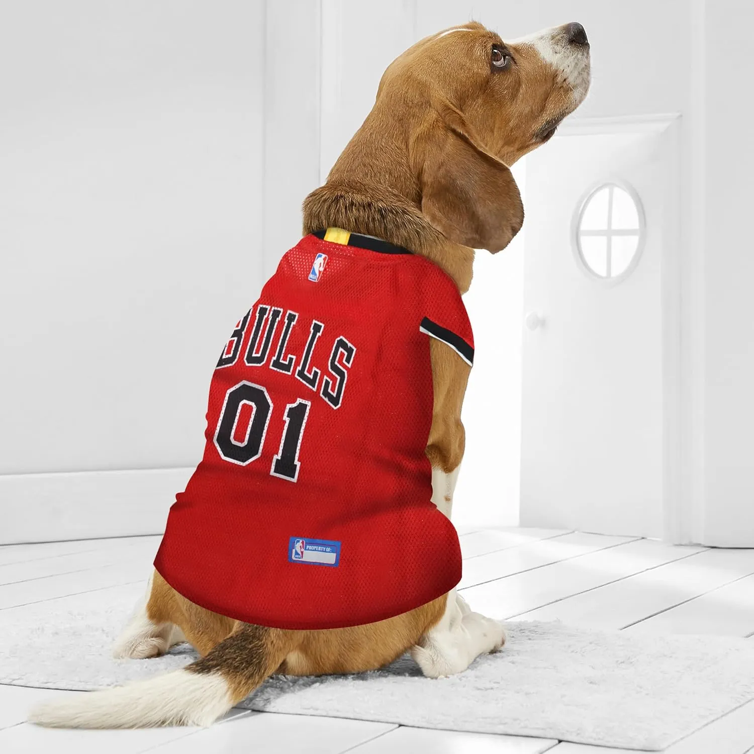 Pets First NBA CHICAGO BULLS DOG Jersey, Medium - Tank Top Basketball Pet Jersey