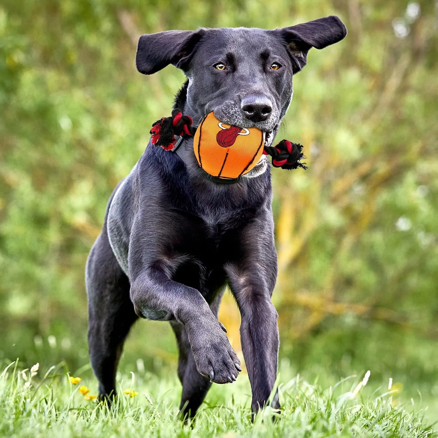 Pets First NBA Miami Heat Basketball Toy. - Tough Nylon Pet Toy with Tug Ropes & Inner Squeaker, one Size