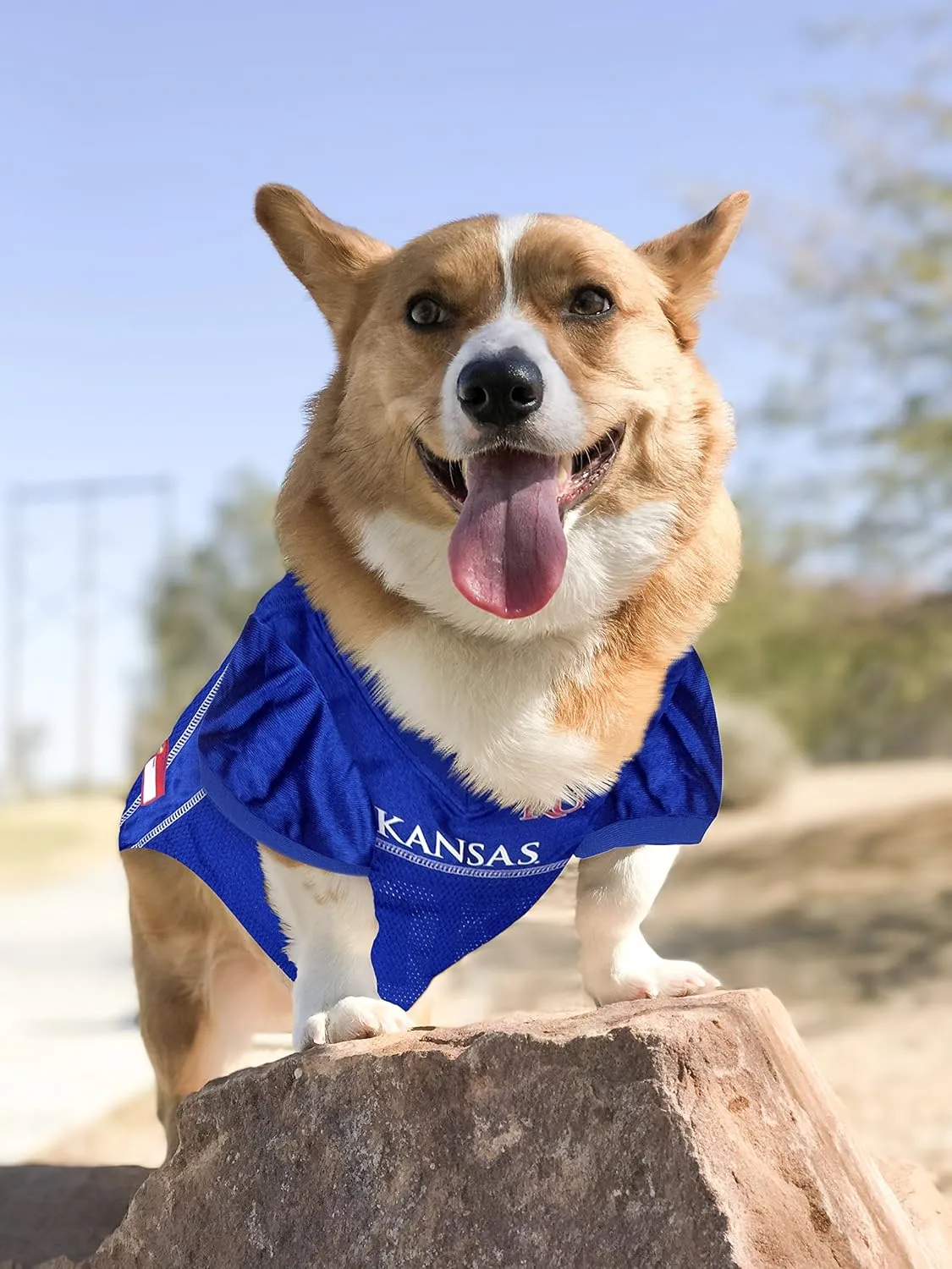 Pets First NCAA Mesh Dog Jersey