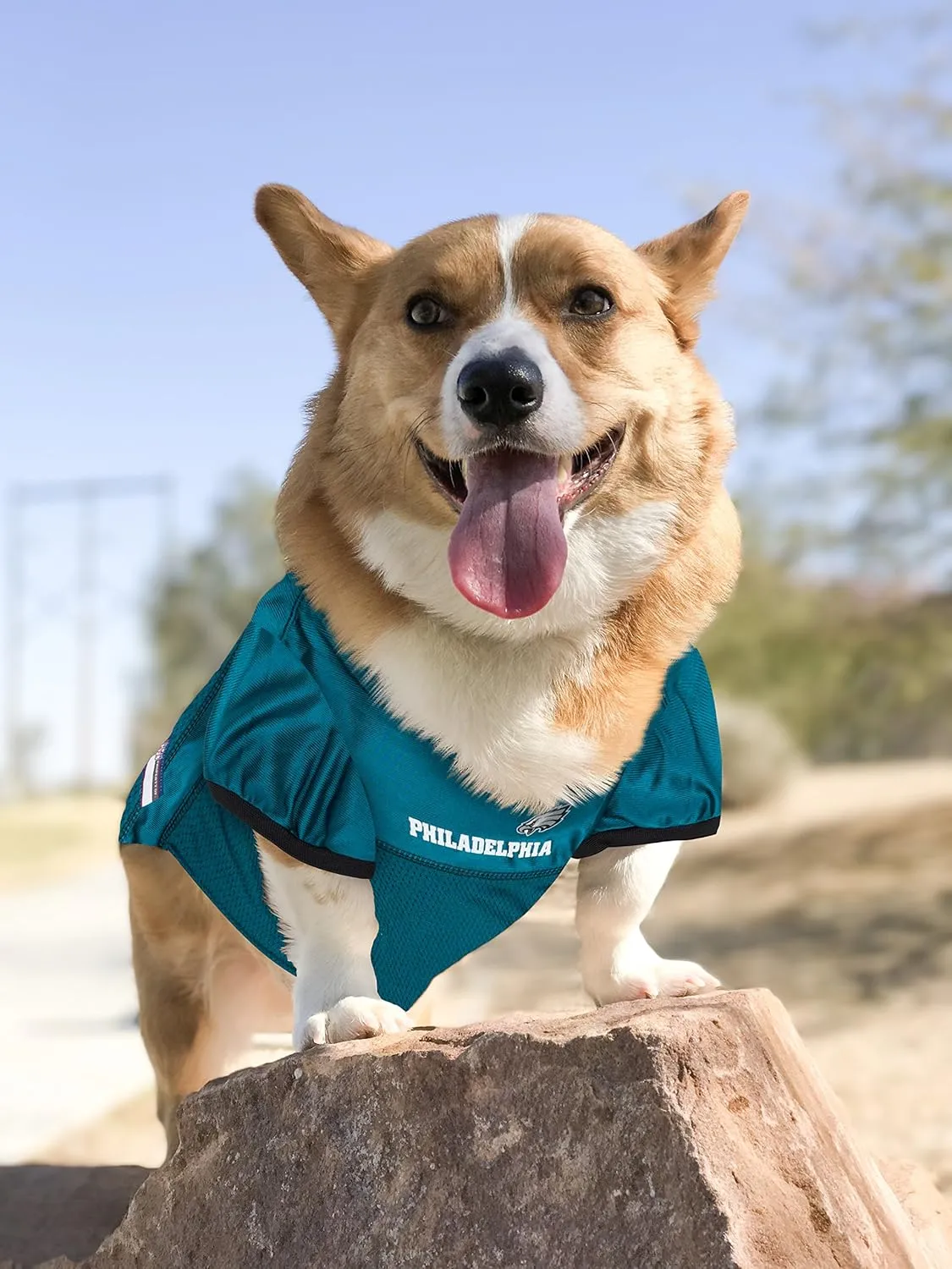 Pets First NFL Philadelphia Eagles Dog Jersey, Medium, Poly-mesh and Satin, Officially Licensed