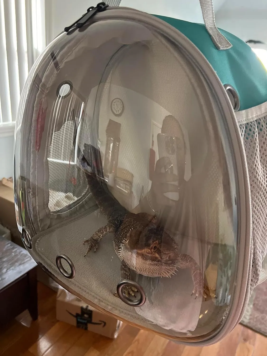 Portable Travel Small Animal Backpack Carrier Pet Backpack Guinea Pig Bird Bearded Dragon Kitten Small Dogs Turtle Rabbit Cage Hard Bubble Bag Breathable Handbag
