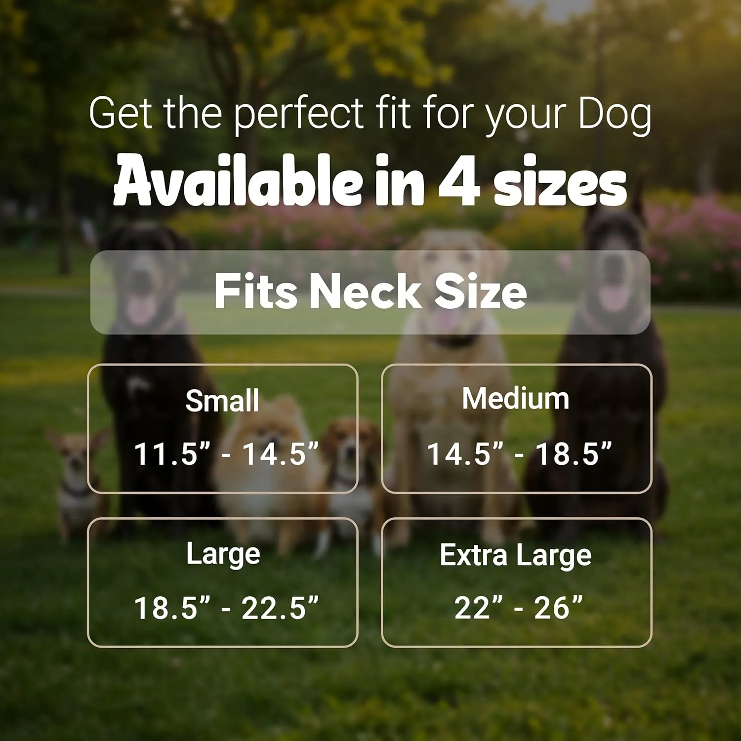 Premium Genuine Leather Spike Dog Collar, Crocodile Pattern, Gator Design | Full Grain, Heavy Duty, Exotic, Distinguish, 2" Wide (Onyx Black, M (Fit Neck 14.5"-18.5"))