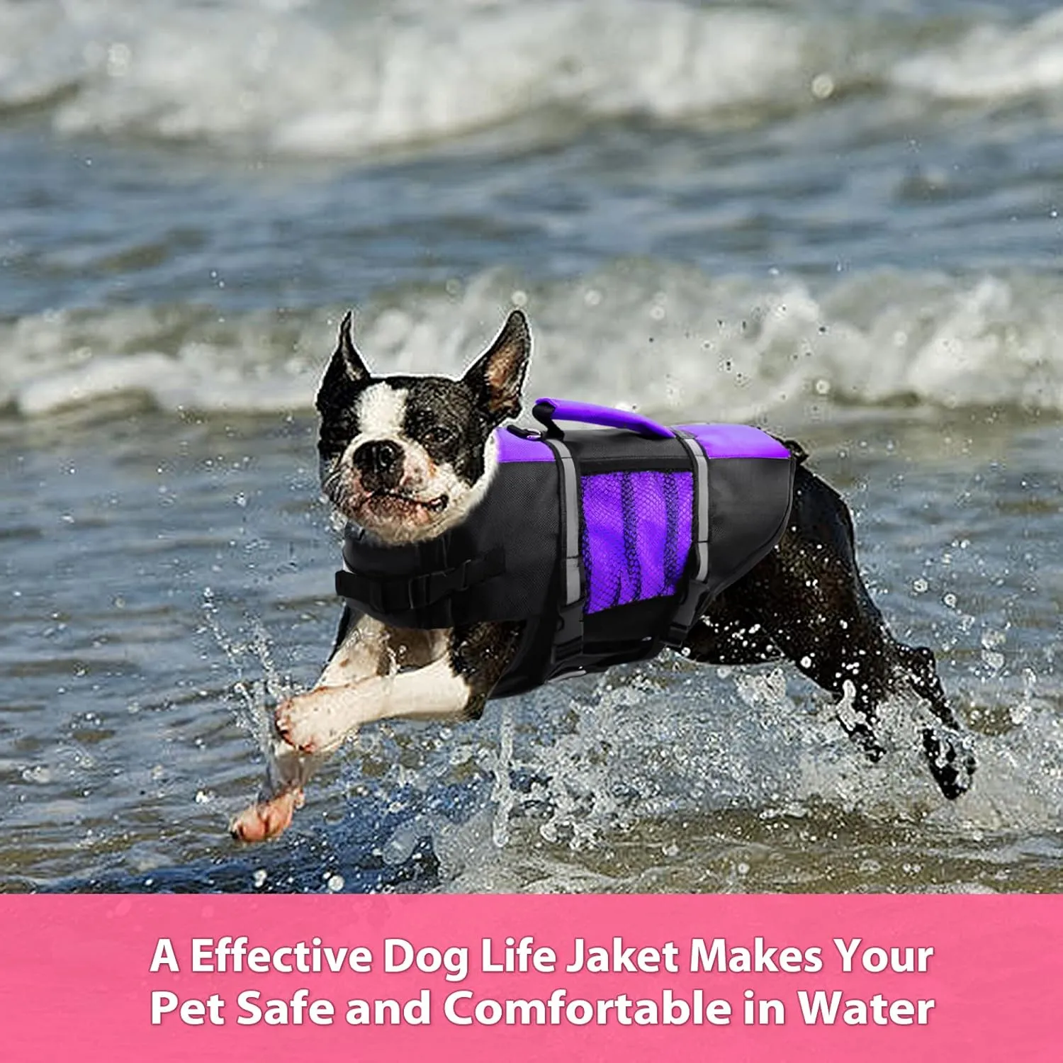 Queenmore Small Dog Life Jacket, Adjustable Pet Life Vest for Small and Medium Dogs with High Buoyancy, Rescue Handle, Reflective Bands for Boating, Canoeing, Swimming