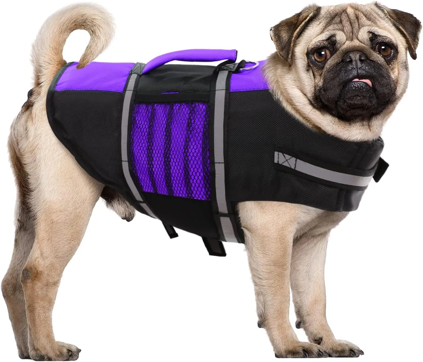 Queenmore Small Dog Life Jacket, Adjustable Pet Life Vest for Small and Medium Dogs with High Buoyancy, Rescue Handle, Reflective Bands for Boating, Canoeing, Swimming