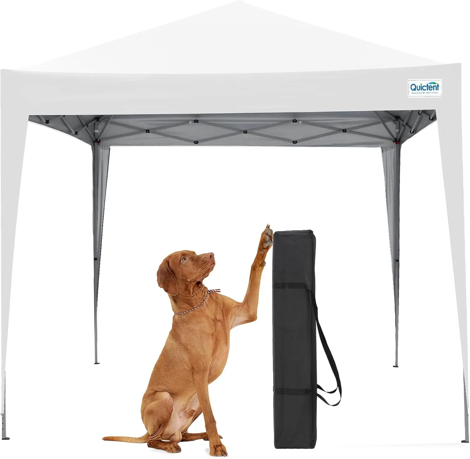 Quictent 10x10 Pop Up Canopy Tent, Instant Setup Gazebo for 1 Person, Portable & Compact, Waterproof & UV Protection, Ideal for Camping, Beach, Parties, and Outdoor Events