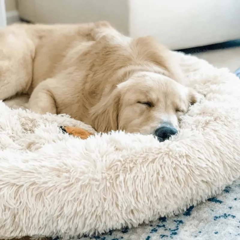 Round Plush Calming Donut Pet Bed for Small, Medium, Large Pets