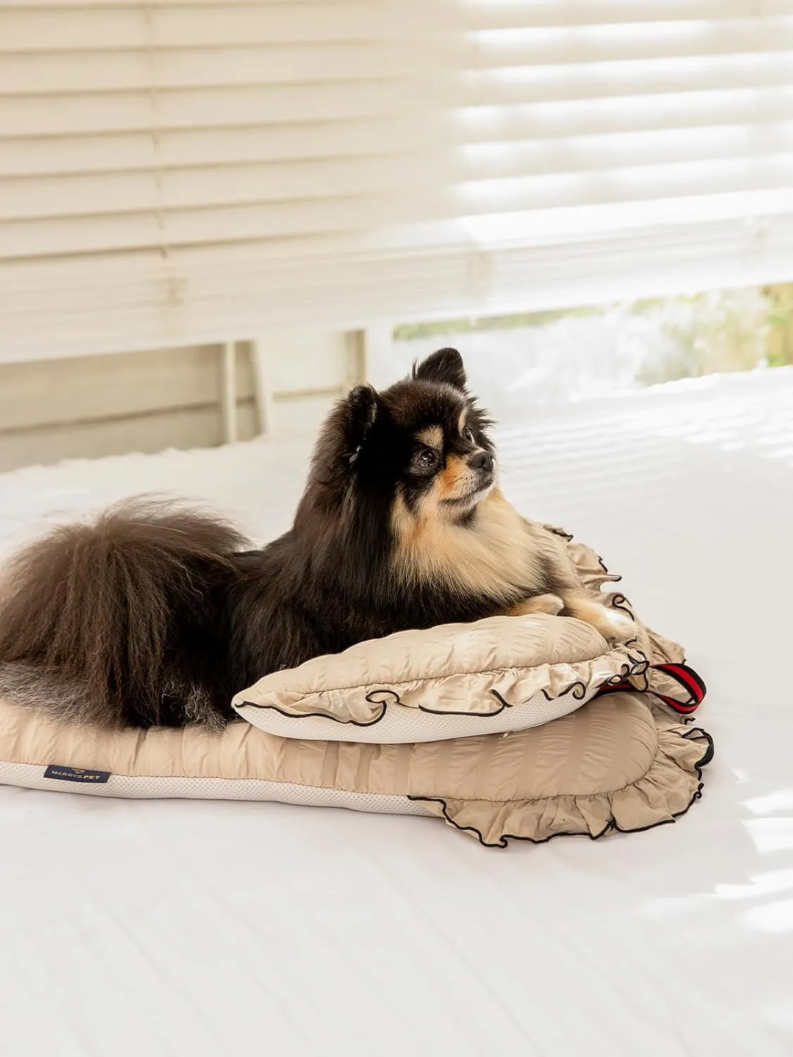 Stroller Cushion for Pets, Bolster, Margaret The Lace Edition, Harryspet, Pet Pillows, Pet Strollers (Trench Beige, Regular(12-15"))
