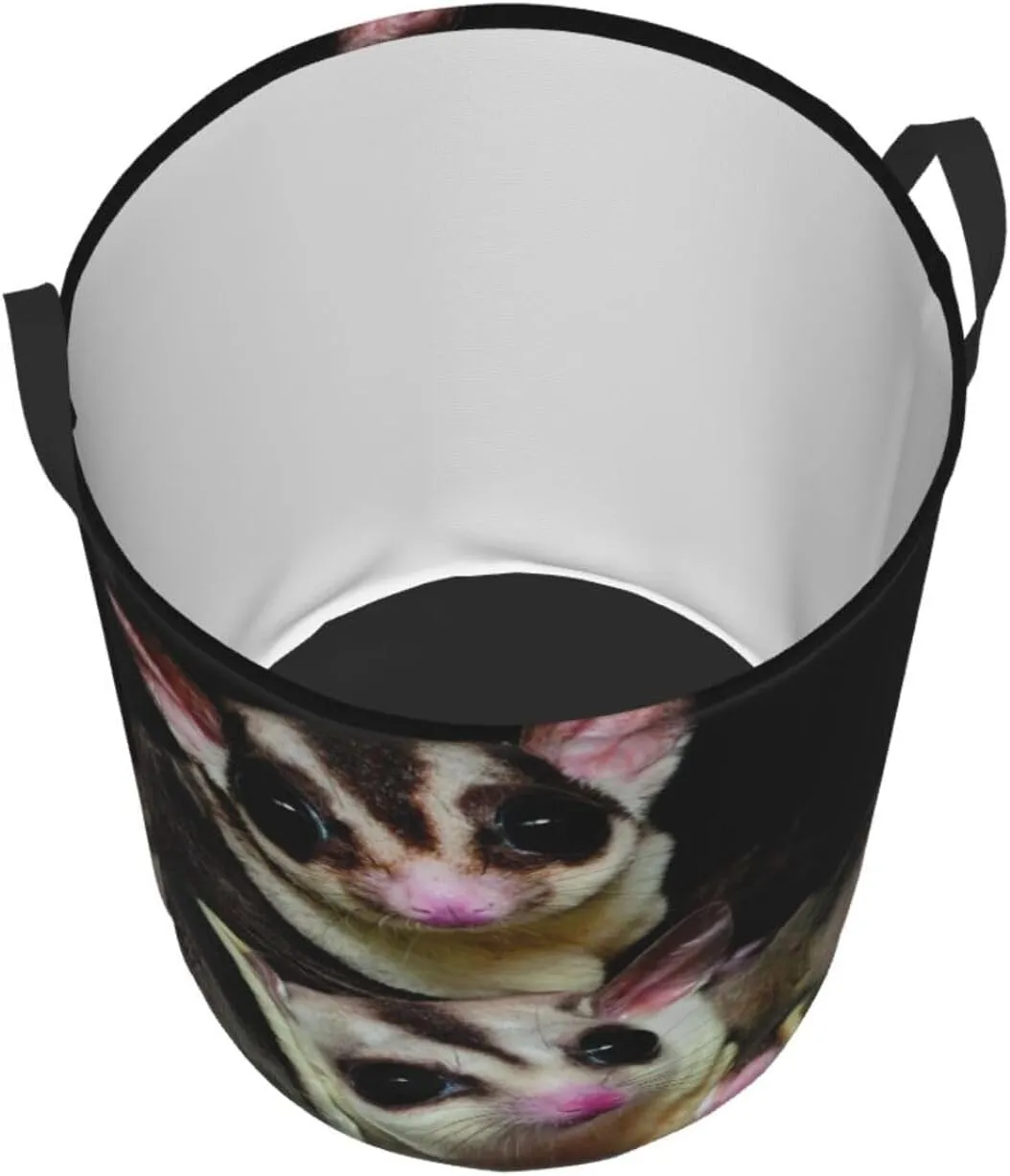 Sugar Glider Round Laundry Basket, Foldable Waterproof Clothes Basket Organizer, Household Dirty Clothes Bag, Medium, Circular hamper