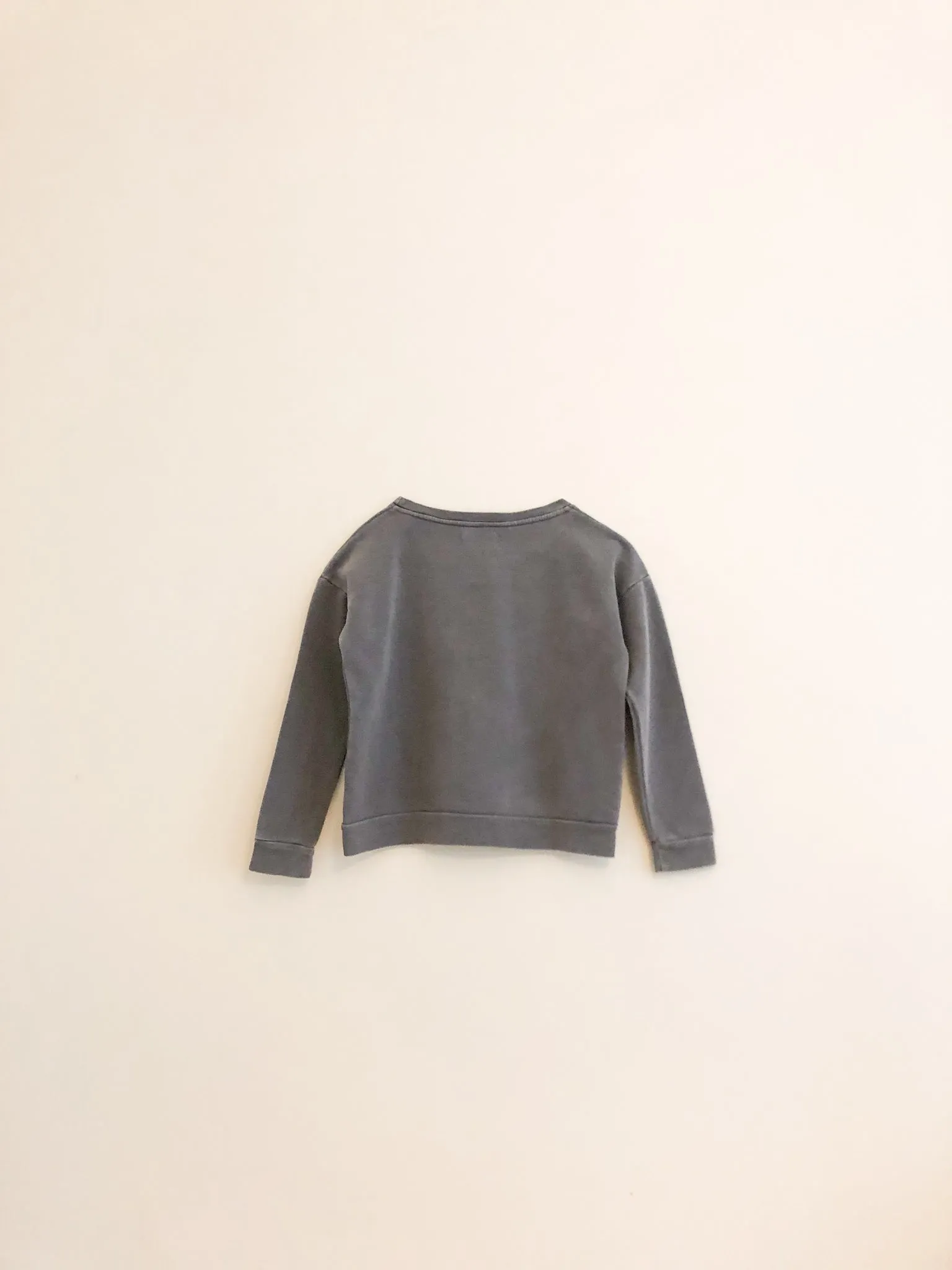 Venice Beach Sweatshirt