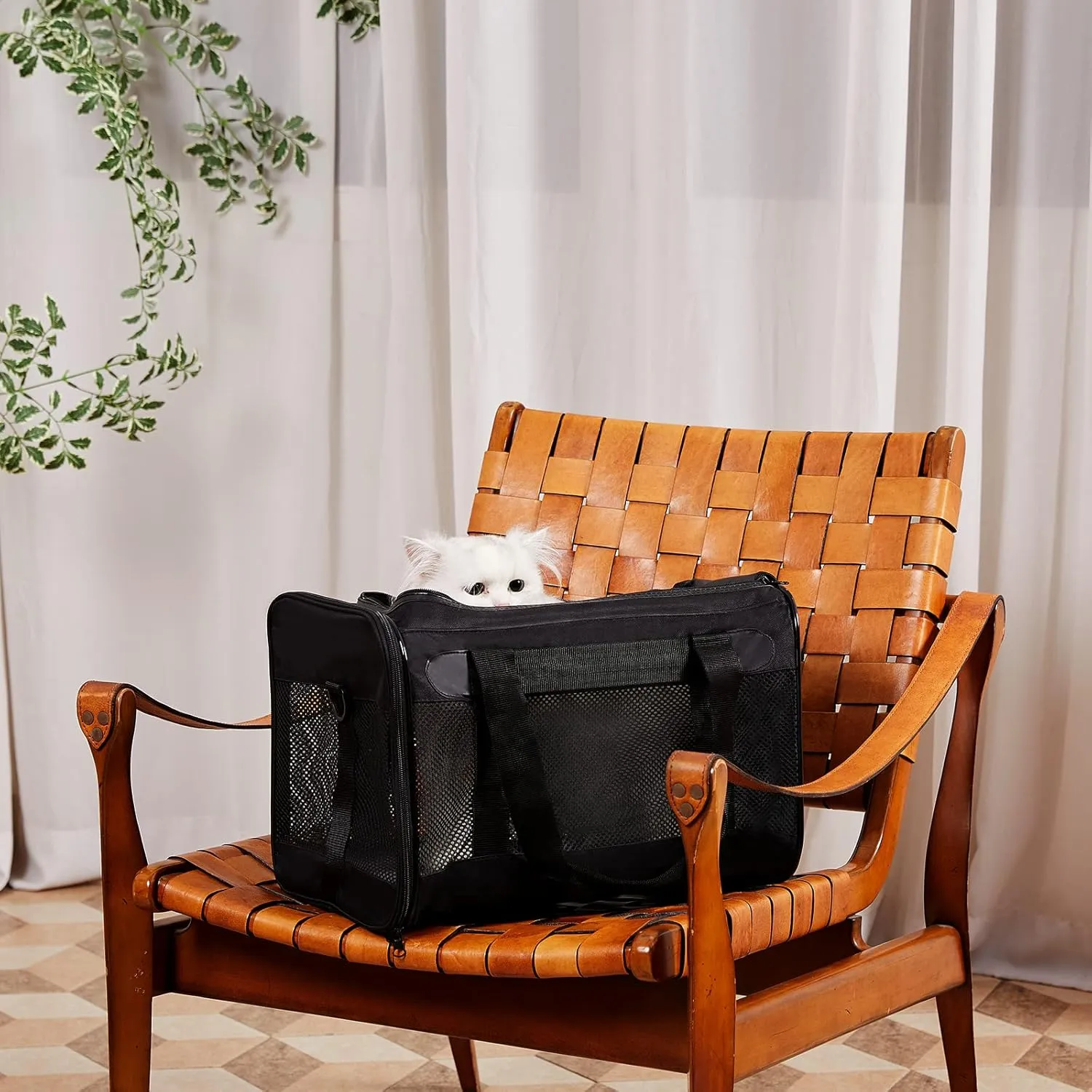 X-ZONE PET Cat Carrier Dog Carrying Case for Pets Up to 15 Lbs, Airline Approved Travel Puppy Bag, with Removable Fleece Pad 17x11x11 Inches Black