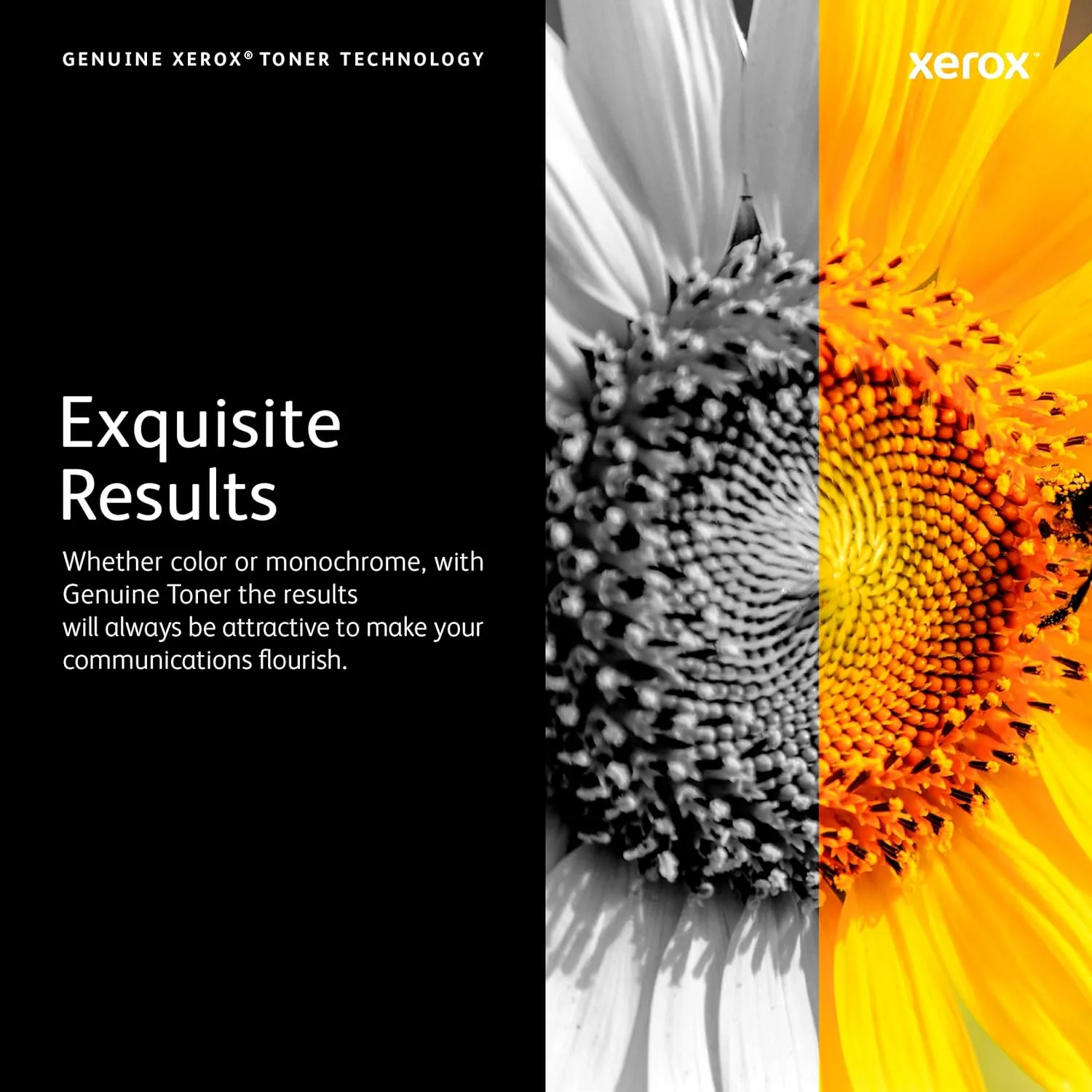 Xerox VersaLink C500/ C505 Yellow Standard Capacity Toner Cartridge (2,400 Pages) - 106R03861